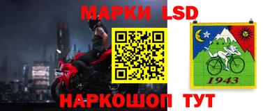 стафф Шелехов