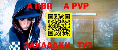 стафф Шелехов