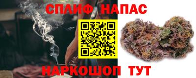 стафф Шелехов